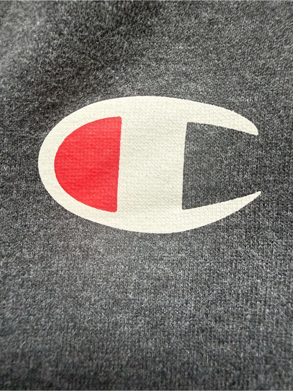 Champion Kids' L (10/12) Gray Full-Zip Hoodie with Logo - Picture 5 of 10